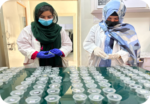 Lab Image 3