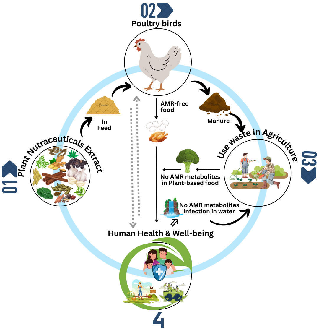 Antimicrobial Resistance